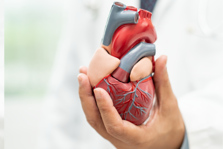 Natufor_Febrero_PublinotaFoto